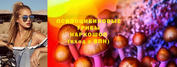 ПСИЛОЦИБИНОВЫЕ ГРИБЫ Лиски