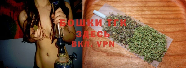 ПСИЛОЦИБИНОВЫЕ ГРИБЫ Лиски