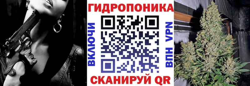 где найти   Щучье  Марихуана ГИДРОПОН 